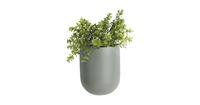 PT Living Wall Plant Pot Oval