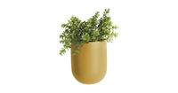 PT Living Wall Plant Pot Oval