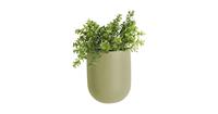 PT Living Wall Plant Pot Oval