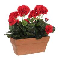 Mica Decorations Geranium Kunstplant in Balkonbak - L29 x B13 x H40 cm - Rood