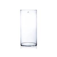 Cilinder Bloemen Vaas Helder Glas 19 X 40 Cm - Voor Verse Of Kunst Bloemen En Boeketten