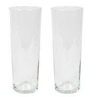Set Van 2x Stuks Bloemenvaas/vazen Van Transparant Glas 40 X 15 Cm - Bloemen/boeketten/takken