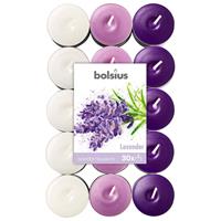 Bolsius Geurkaarsen Theelicht Lavender Paars/wit 30 Stuks