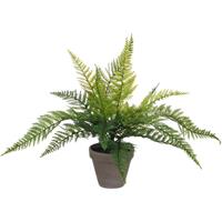 Mica Decorations Varen kunstplant/kamerplant groen H40 cm x D36 cm - Kunstplanten