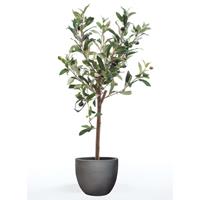 Emerald Kunstplant olijfboom mini 65 cm