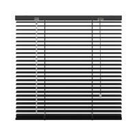 Praxis Decosol jaloezie horizontaal aluminium matzwart 25mm 160x250cm