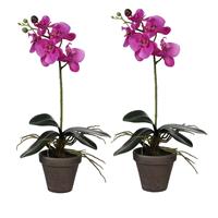 Mica Decorations 2x Stuks Phalaenopsis Orchidee Kunstplanten Paars In Pot H48 X D13 Cm Cm - Kunstplanten/nepplanten Met Bloemen