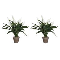 Mica Decorations 2x Stuks Spathiphyllum Lepelplant Kunstplanten Wit In Keramieken Pot H50 X D40 Cm