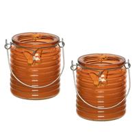 Decoris 2x Stuks Citronella Anti Muggen Kaarsen In Kaarsenhouder Oranje 20 Branduren - Windlichten Voor Binnen En Buiten