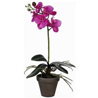 Mica Decorations Phalaenopsis Orchidee Kunstplant Paars In Pot H48 X D13 Cm Cm - Kunstplanten/nepplanten Met Bloemen