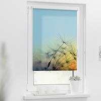 Lichtblick Rollo Klemmfix, ohne Bohren, Verdunkelung, Pusteblume - Blau, 45 x 150 cm