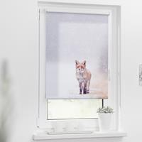 Home24 Klemfix-rolgordijn Vos in de Sneeuw, Lichtblick