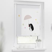 Lichtblick Rollo Klemmfix, ohne Bohren, blickdicht, Maulwurf - Bunt, 70 x 150 cm (B L)