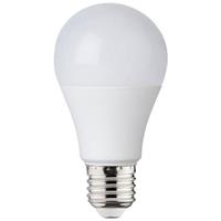 BES LED LED Lamp - E27 Fitting - 12W - Helder/Koud Wit 6400K