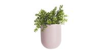 PT Living Wall Plant Pot Oval