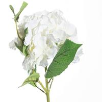 Dekoria Sier Hortensia 65cm white