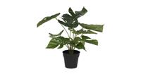 Clayre & Eef Decoratie kunstplant Monstera Deliciosa 30*30*34 cm 6PL0215