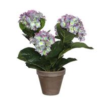 Mica Decorations Hortensia Kunstplant - H40 x Ø35 cm - Terracotta