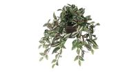 Mica Decorations tradescantia groen in pot Stan maat in cm: 45 x 25