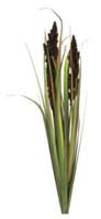 Nova Nature Cortaderia Monica bush purple 89 cm kunstbloem 