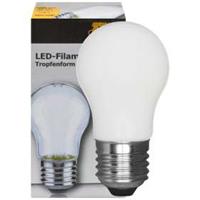 Buitenlampenshop.nl LED lamp 4W 446 lumen 2700K E27 druppel mat