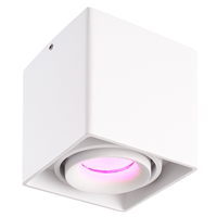Hofronic Smart WiFi LED opbouw plafondspot Esto Wit incl. 5,5W GU10 RGBWW spot IP20 kantelbaar