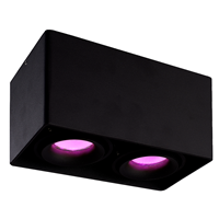 Hofronic Smart WiFi LED opbouw plafondspot Esto 2 lichts Zwart incl. 2x 5,5W GU10 RGBWW spot IP20 kantelbaar