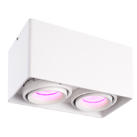 Hofronic Smart WiFi LED opbouw plafondspot Esto 2 lichts Wit incl. 2x 5,5W GU10 RGBWW spot IP20 kantelbaar