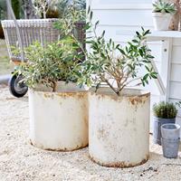 LOBERON Bloempot set van 2 Sconne
