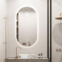 Saniclear Parma ovale spiegel met LED-verlichting en spiegelverwarming 100x50cm