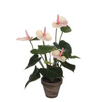 Mica Decorations Anthurium Kunstplant - H40 x Ø30 cm - Terracotta pot - Lichtroze