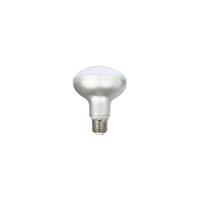SILVER SANZ LED REFLECTOR R90 E27 12W 230Vac 3000K Warm Glühbirne