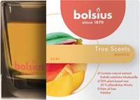 Bolsius Duftkerze True Scents Mango - 6 cm / Ã¸ 9 cm
