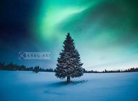 Karo-art Afbeelding op acrylglas - Noorder licht Kerstboom , Blauw groen , 3 Maten , Wanddecoratie