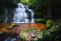 Karo-art Schilderij -Vredige Waterval, 90x60cm, Wanddecoratie