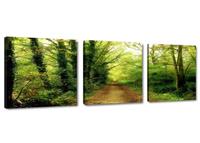 Karo-art Schilderij - Natuur Pad Bomen, Groen, 150X50cm, 3luik