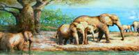 Karo-art Schilderij - Handgeschilderd - Olifanten in de Savanne , 60x150