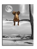 Karo-art Schilderij - Olifant in de Boom, Zwart-Wit, 80x60