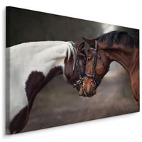 Karo-art Schilderij - Prachtige liefde tussen 2 paarden, premium print