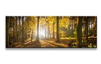 Karo-art Schilderij - Bos, Bruin/Geel, 120X40cm, 1luik