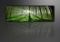 Karo-art Schilderij - Bos, Groen, 120X40cm, 1luik