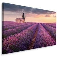 Karo-art Schilderij - Lavendelveld bij zonsondergang, paars, 4 maten, wanddecoratie