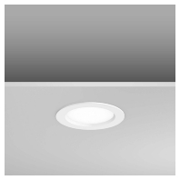 RZB 901695.002 - Downlight/spot/floodlight 1x12,3W 901695.002
