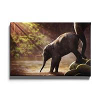 Walljar | Canvas schilderij Baby Olifant