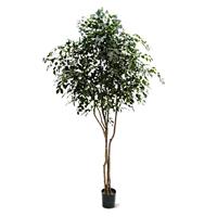 Ficus Exotica kunstboom 330cm