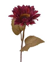 Zonnebloem kunsttak M 65 cm burgundy