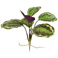 Calathea Ornata kunstplant 25cm