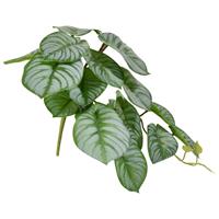 Peperomia kunstplant HRT 20cm