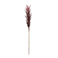 Kunst Pampaspluim 80 cm burgundy