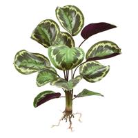 Calathea Ornata kunstboeket 45 cm